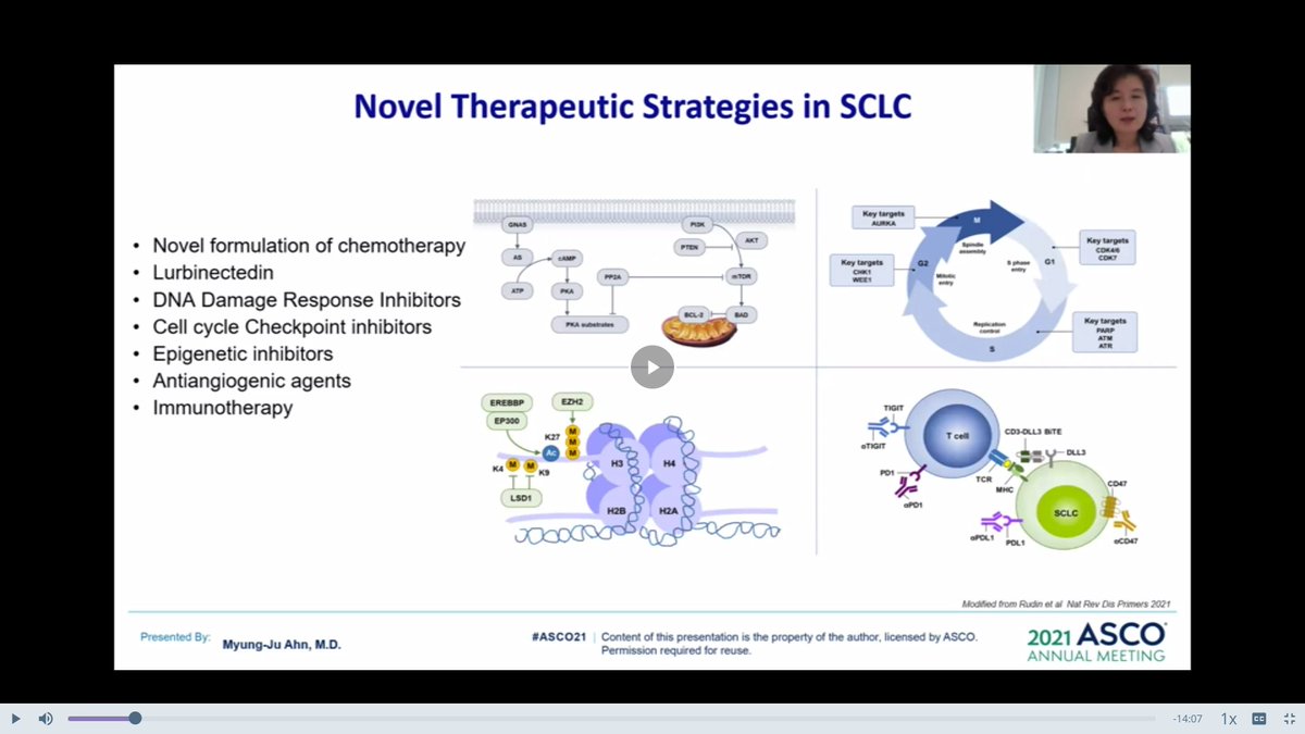 LUNGevity's tweet image. Enjoyed the presentation by Dr. Myung-Ju Ahn about the different approaches being studied in clinical trials to improve outcomes for SCLC patients. @SungkyunkwanUni #ASCO21 #lcsm #thisishope