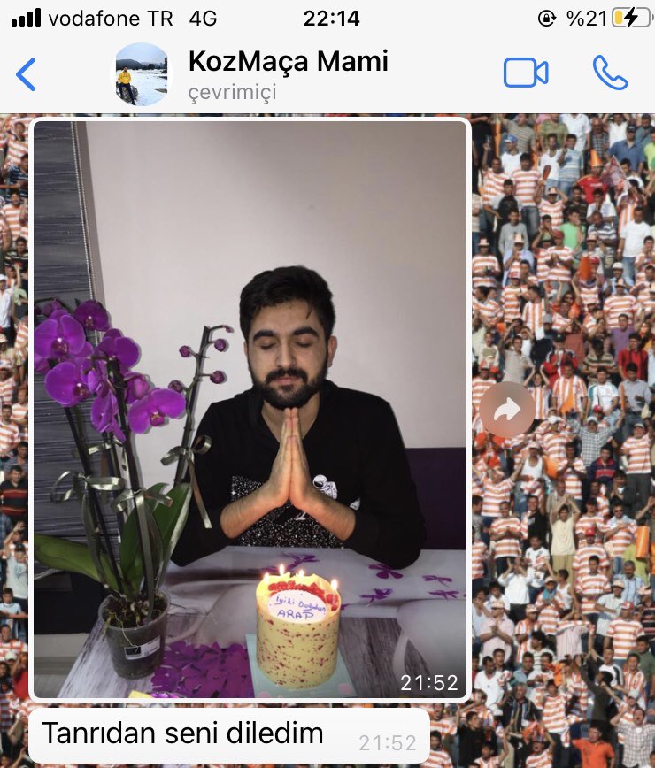 Sefa Arıkan tweet media