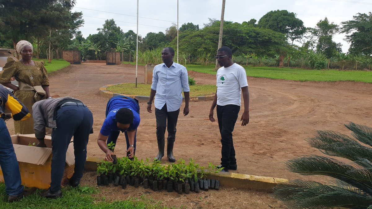 Forests are home to 80% of all known amphibian species, which could face extinction due to forest degradation.On this
#WorldEnvironmentDay Together with Hon.Teddy&Mawokota County chief we planted 500 trees as part of the planned 500,000 #KeepMamaAfricaGreen #GenerationRestoration