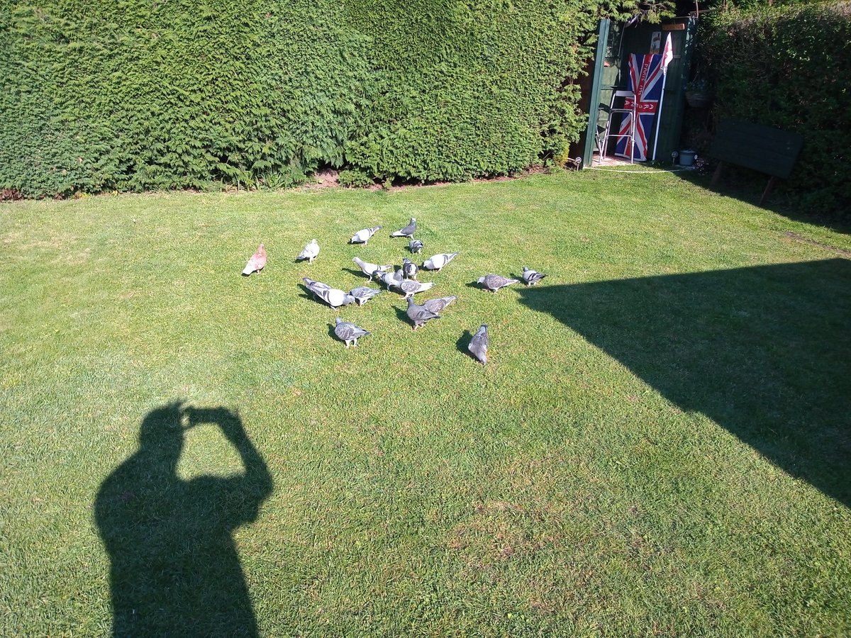 aussieafc's tweet image. This year's academy,high hopes,spot the 2 rollers gatecrashing.