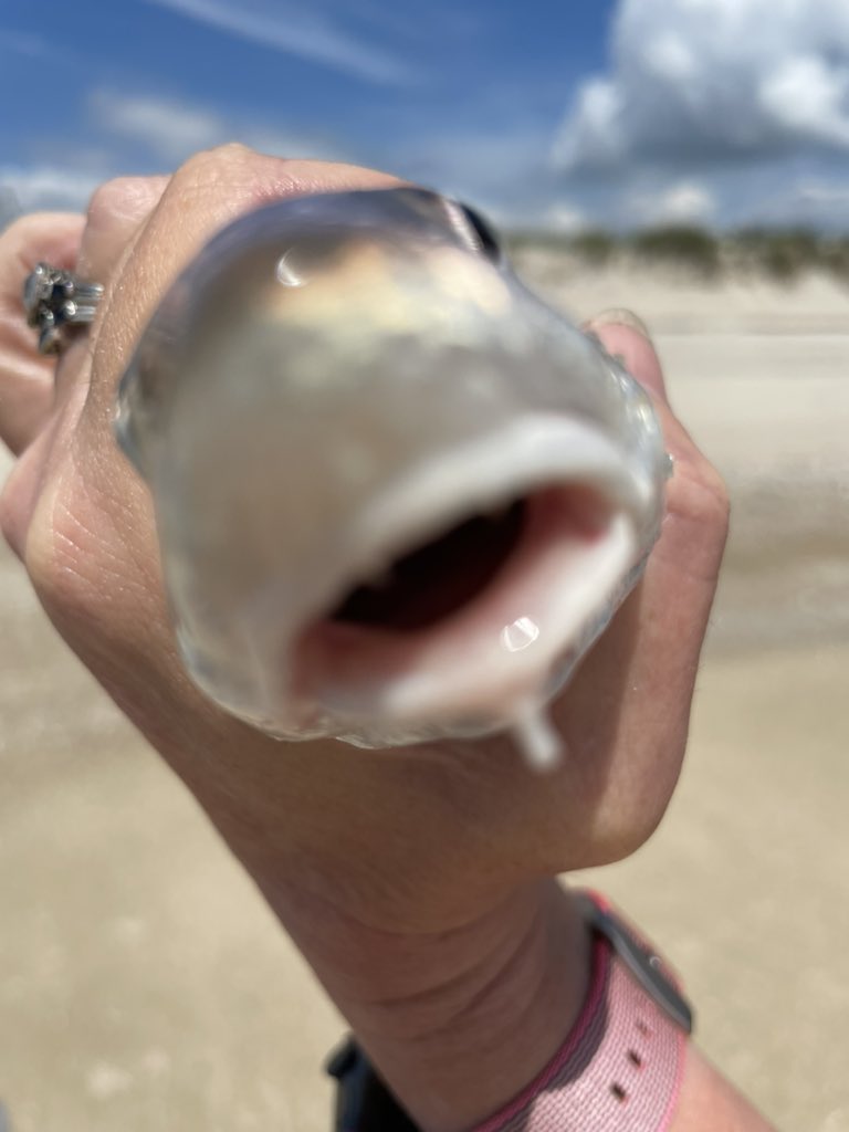 birdnerd65's tweet image. 