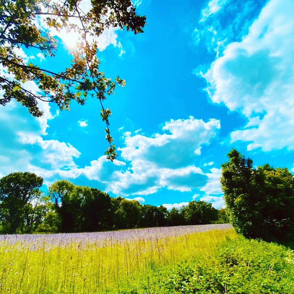 Emma54651285's tweet photo. 10 mile walk @AltonWater today #healthylifestyle #soberwoman #livinglifemyway #cleanliving  #wellbeing #changeyourlife #choosehappiness #wellbeingmentor  #fitness #essex  #mentalhealthmatters  #childmentalhealthmatters #beyourself #grateful #happy #childmentor #Saturday #walking https://t.co/8Nk0Tvnbyd