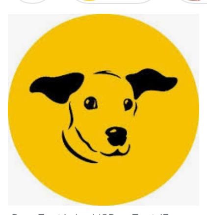 stmichaelskill's tweet photo. @DogsTrust_IE Community and Education Officer, Paul Cleary, visited @stmichaelskill today to teach us about dog safety and how to care for our dogs. #lifewidelearning #AnimalWelfare @DT_IRE_Edu https://t.co/23iszjVuNM