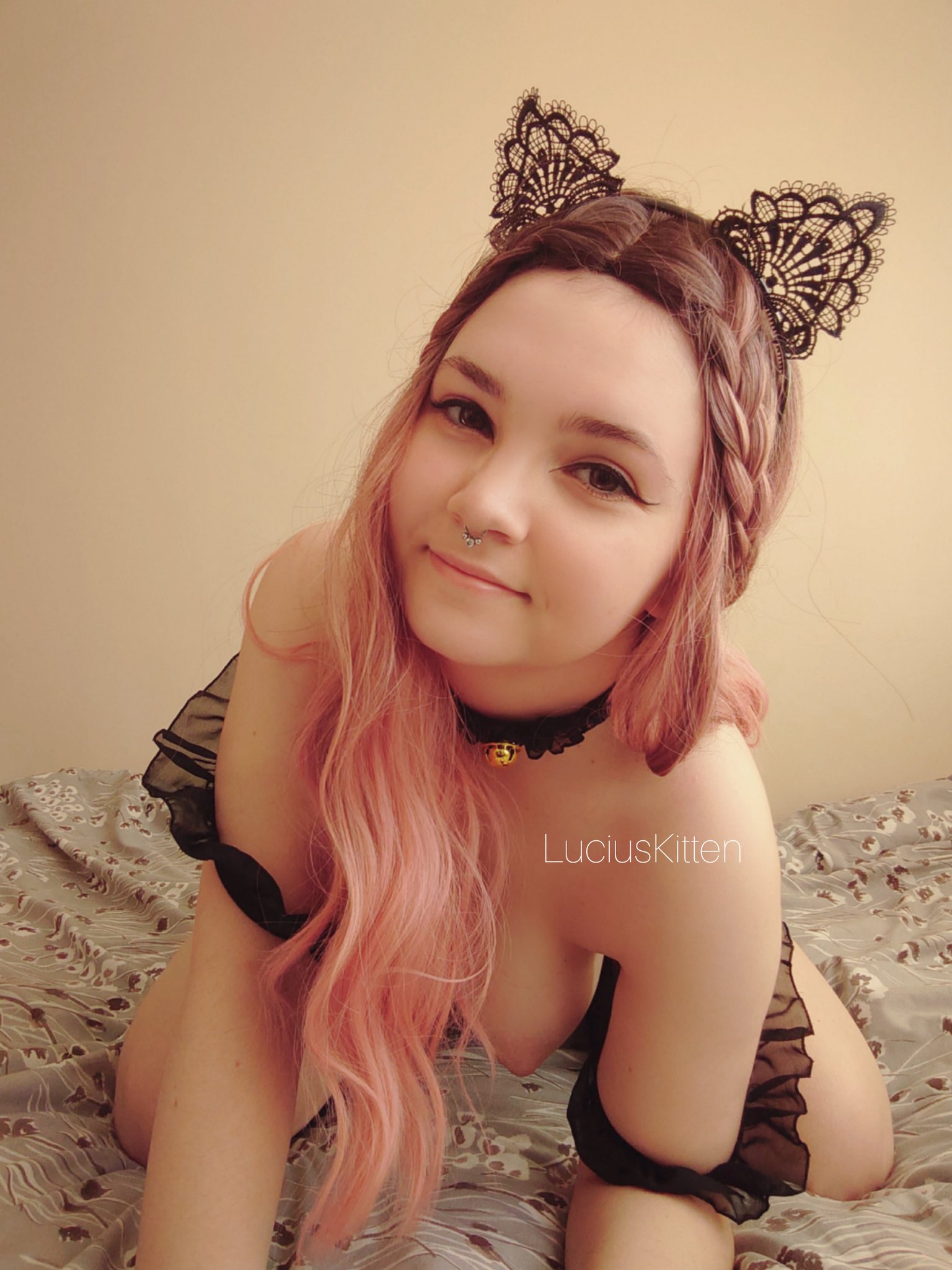 LuciusKitten on X: Is it playtime? t.co6faT8eSsUE  X