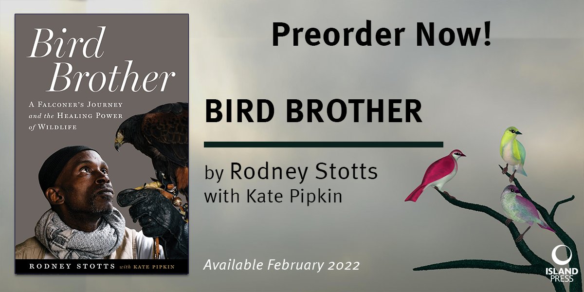 IslandPress's tweet photo. Eye-opening, witty, and moving, BIRD BROTHER is a testament to the healing power of nature, and a reminder that no matter how much heartbreak we’ve endured, we still have the capacity to give back to our communities &amp; follow our dreams. https://t.co/NodJctcb7z #BlackBirdersWeek https://t.co/cxktGY4avH