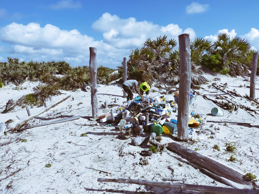 #WorldEnvironmentDay2021 in Mkokoni, through Kiunga Community Wildlife Association and support from <a href="/NRT_Kenya/">@nrt_kenya</a> &amp; <a href="/Nature_Africa/">The Nature Conservancy in Africa</a> .

Communities &amp; stakeholders managed to collect 4.5 tonnes of Plastics waste.
<a href="/KWCAKenya/">Kenya Conservancies</a>
@kwskenya
<a href="/LamuCountyKe/">Lamu County</a>
#WildAboutLife
#GenerationRestoration