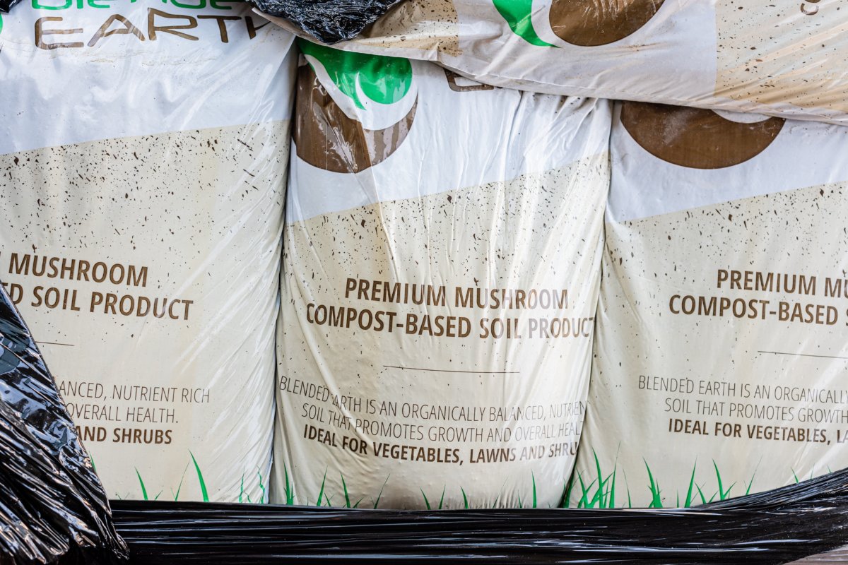 MTurfsupply's tweet photo. See the magic in your garden when you plant with Blended Earth! 🍄 #ModernTurf #BlendedEarth https://t.co/ZhMJbJgTmk