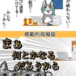 真面目過ぎる猫ほど鬱になりやすい？模範的猫を見習おう!