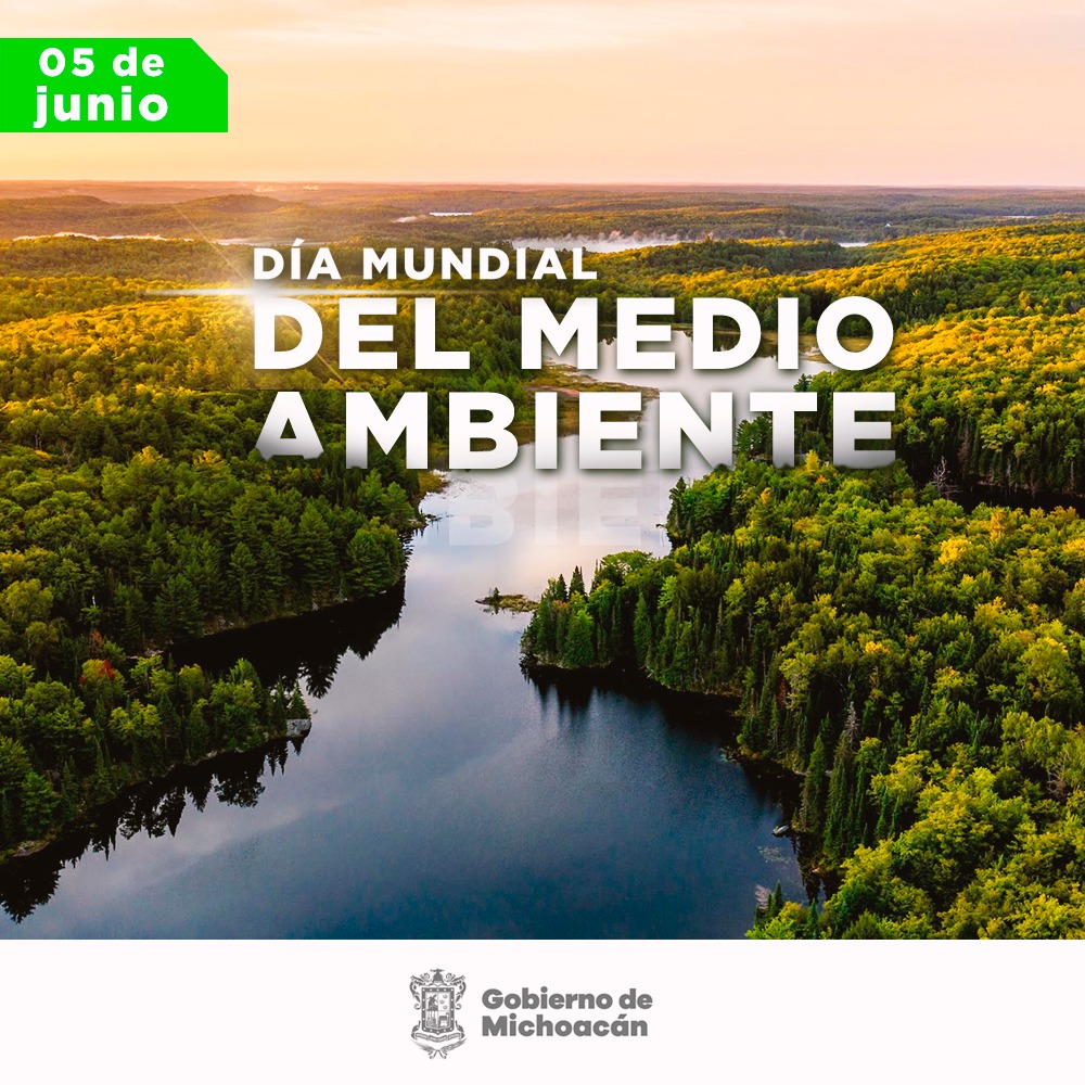 proammich's tweet image. 🌲🏞️El propósito del Día Mundial del Medio Ambiente de este año es tomar conciencia sobre la importancia de la restauración de los ecosistemas y dejar de replicar acciones que llevan a su deterioro. #EscuchaLaTierra y comienza a consumir con conciencia ambiental.🐢🐍🐊
