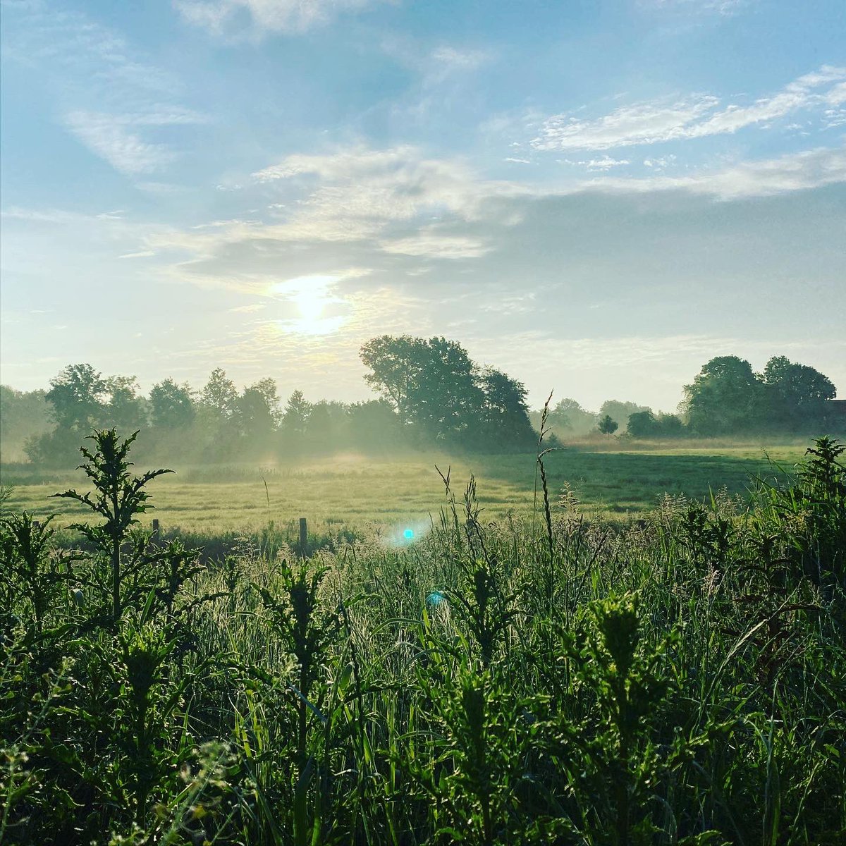 Geweldig dit soort wandelingen door de lokale natuur