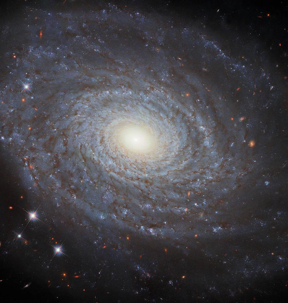 This image features the spiral galaxy NGC 691, using Hubble’s Wide Field Camera 3 (WFC3). 

