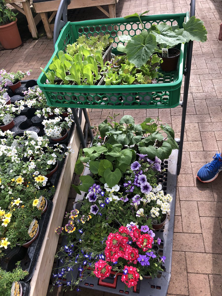 Chappers2013's tweet photo. Seriously we only went to #Perrywoods #Tiptree for some compost ๐
Lovely evening catching up with neighbours in the garden ๐
A great day
More #GoodNewsSaturday https://t.co/bqcREf0AFQ