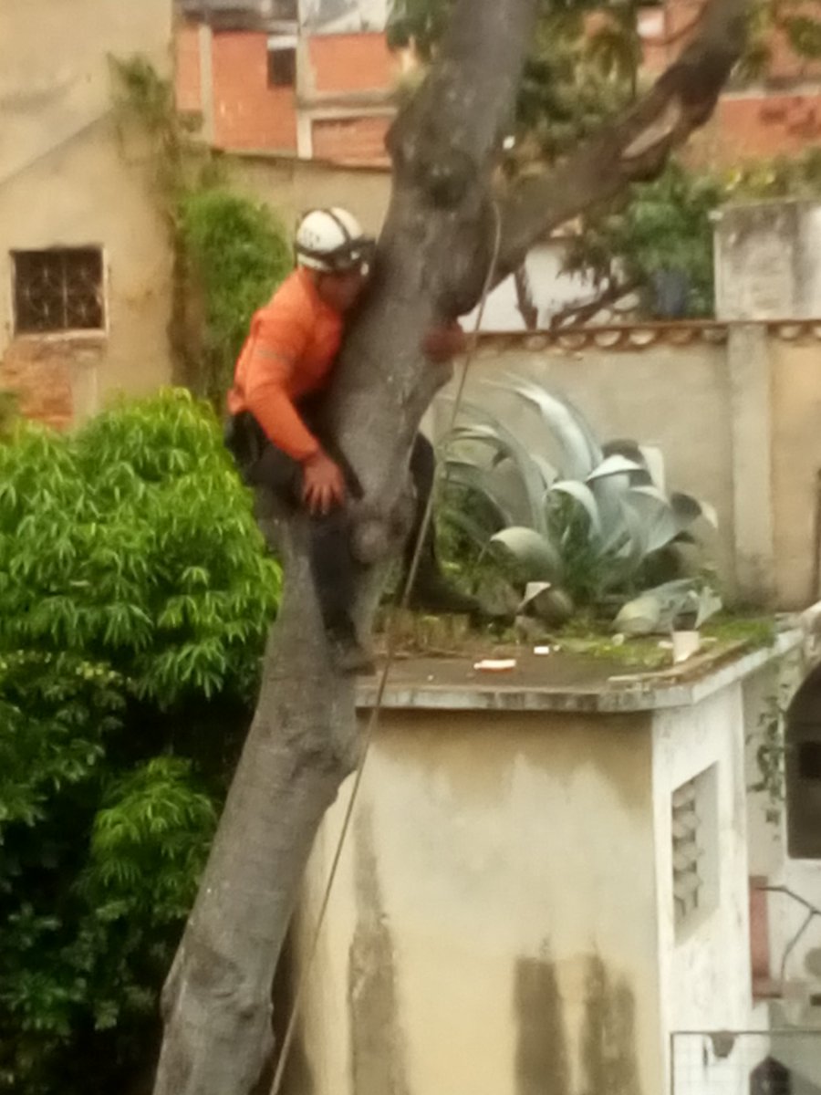 Osteosintesisvh's tweet photo. Gracias a Protección civil por su colaboración. @PCivil_Ve . https://t.co/Jt9QVJEokd
