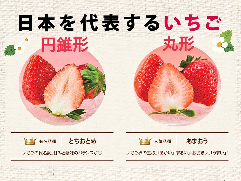 N ジョイボーイ 芸能人連続不審死事件 年4月26日とちおとめをあまおうと言い張る事はできないうたつなぎで木梨フミヤjuju三浦春馬さんに繋がり木梨に差し入れ誰がガス始めた 苺用意の流れで春馬さんいつも行くスーパー 特定済 にとちおとめがあるガス
