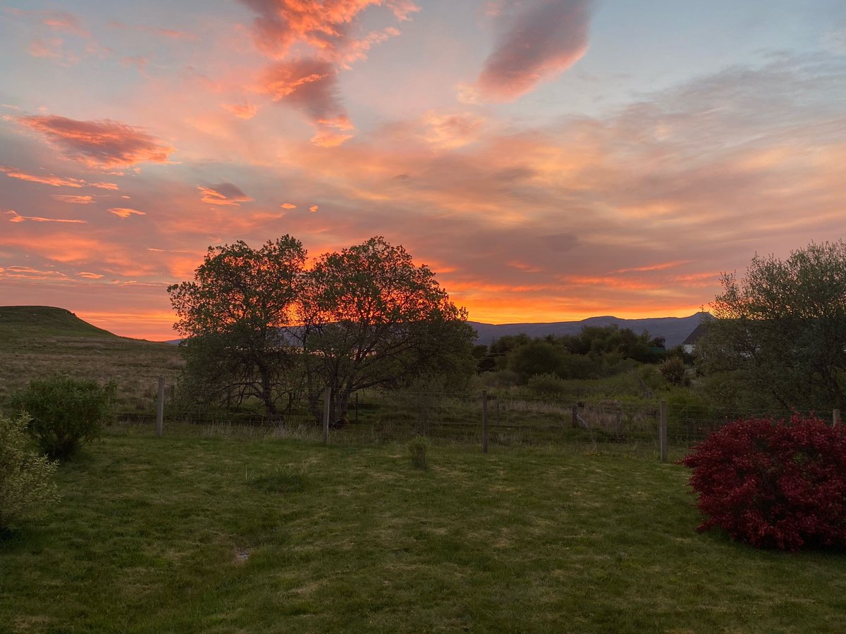 BlueberryShed's tweet photo. Your summer sunrise view from the Blueberry Shed #earlystart #summerSkye https://t.co/jikxR9oDrA