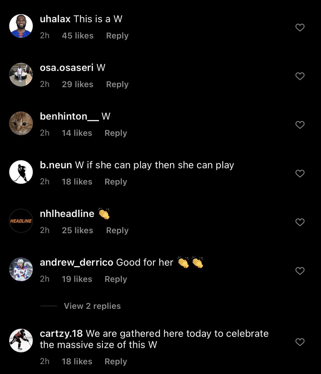 comment section passed the vibe check
