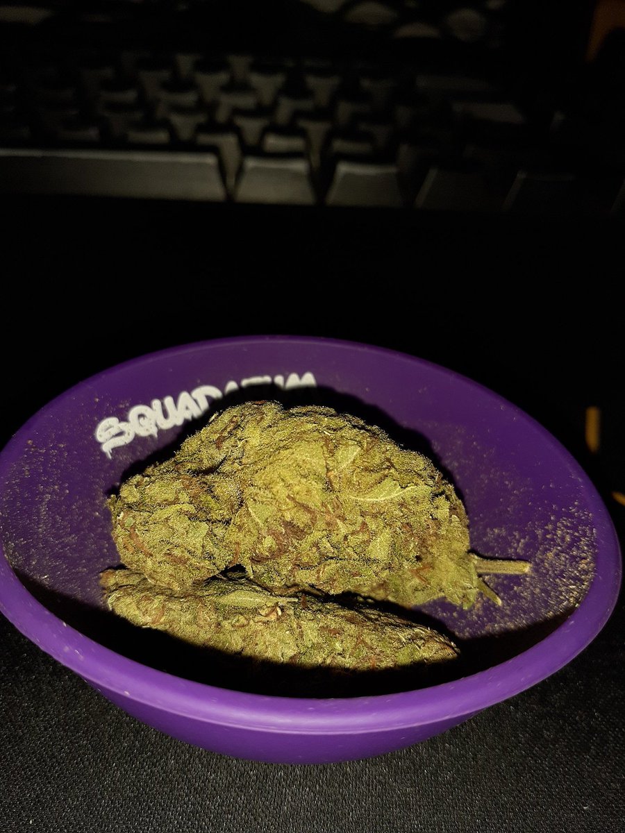 G3L4D31R4's tweet photo. Critical purple ou black sugar? 🤩
#weed #criticalpurple #blacksugar https://t.co/T0QGPLvmoM
