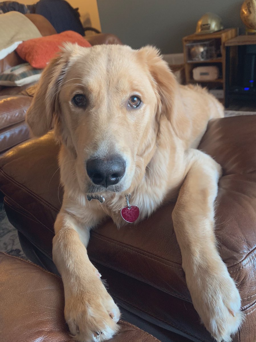 happy 1st birthday to my coopy boy!