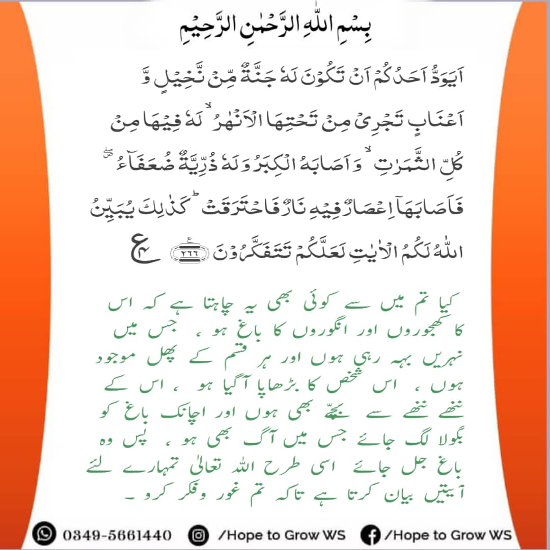 HopetogrowWS's tweet photo. سورہ البقرہ آیت نمبر 266
#Hopetogrow
#htgwsLahore
#HTGLahore
#Welfare
#Society
#TrustonGod
#Faith
#Nodoubt
#HTG
Regards
Muhammad Usama khan https://t.co/4qs5Y8ZkmE