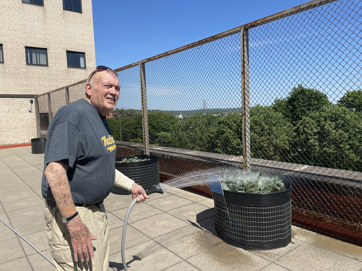 SPPSLynch's tweet image. Watering the school garden when it’s in the 90’s is a Saturday family affair.