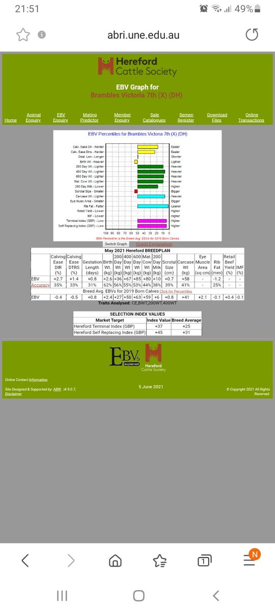 Brambles Herefords tweet media
