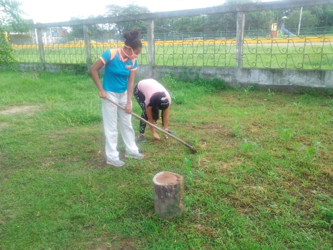 mrobinsonapure's tweet photo. Misión Robinson Municipio Achaguas, en Practicas Productivas en el Centro de Formación el Trébol 
#MisiónRobinson
#RumboACarabobo
@Nicolasmaduro
@eduardopiate2
@sociabolivarian
@raulbolivariano https://t.co/IhUpu6QA2S