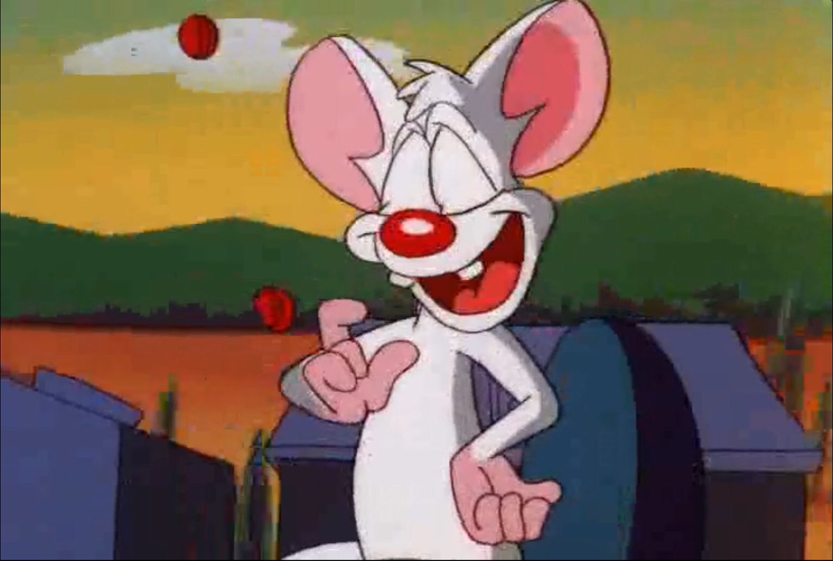mouseygalore's tweet photo. hello!! have you seen him today? well now you have! :) https://t.co/QpC2JWZePO