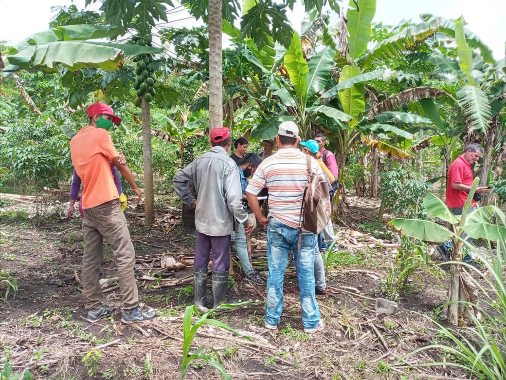 RosaGCcomunal's tweet photo. #5Jun |🇻🇪📢  la Juventud comunera #DeltaAmacuro junto a los movimientos sociales en el municipio casacoima al lado del pueblo productor, jóvenes y adultos campesinos, conuqueros Comunales en asamblea formativa en el marco del sistema económico comuna siembra 2021
#RumboACarabobo https://t.co/nDdOfBEhbM