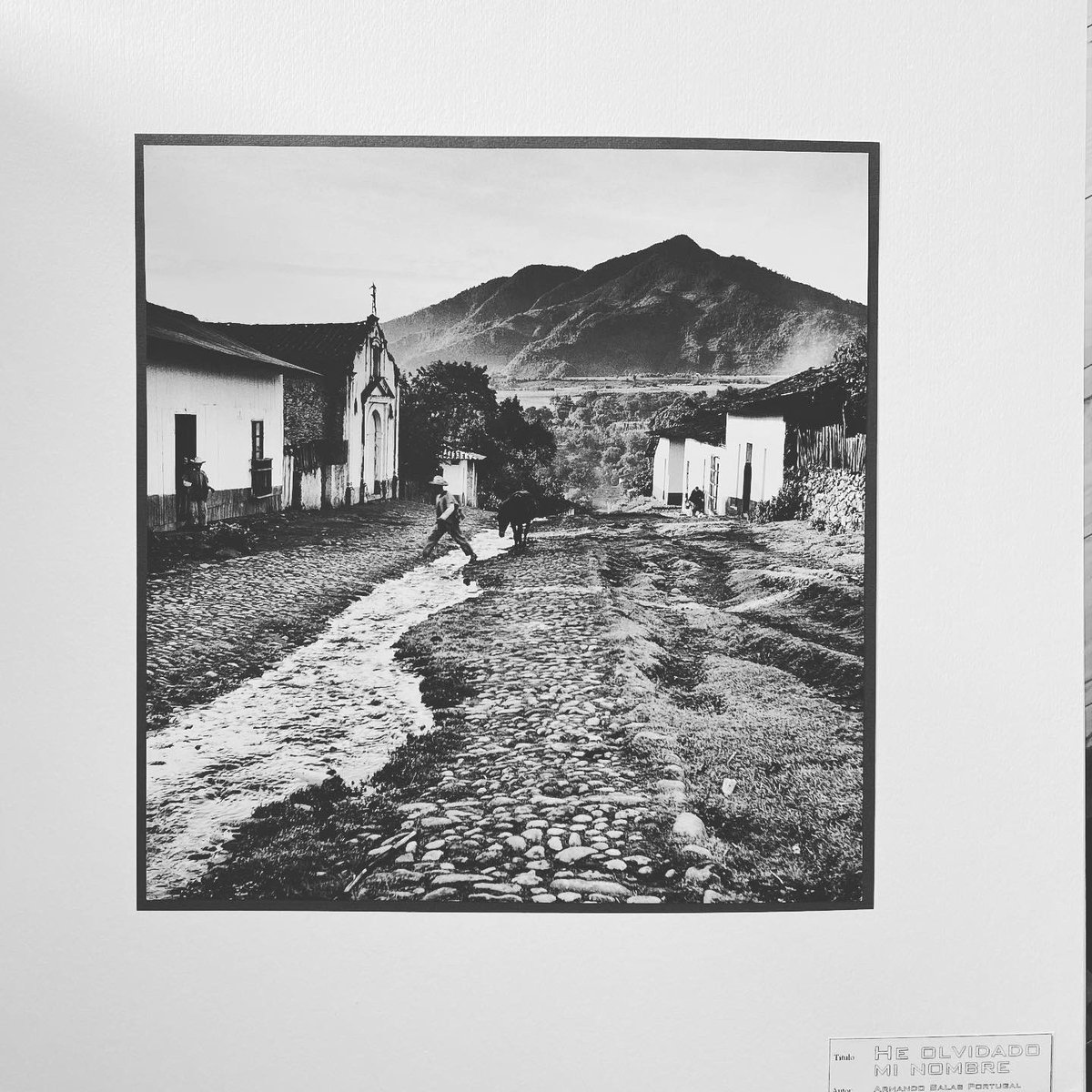 victorrossir's tweet photo. Educación digna para niños indígenas trabajadores en Chiapas. Proyecto social para becas escolares que serán entregadas por Melel Xojobal en Chiapas a los niños.
#educacionconsentido #educacioncontinua #educacionenlascomunidades #apoyando #melelxojobal #dondadora #bidsquare https://t.co/j4qB7uotTP