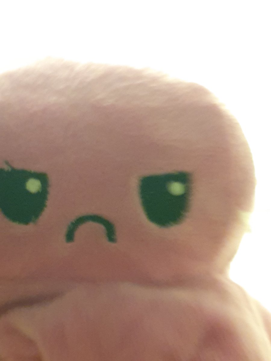 nerdyrobin's tweet photo. hi its my plushie https://t.co/HqCV3r5FMA