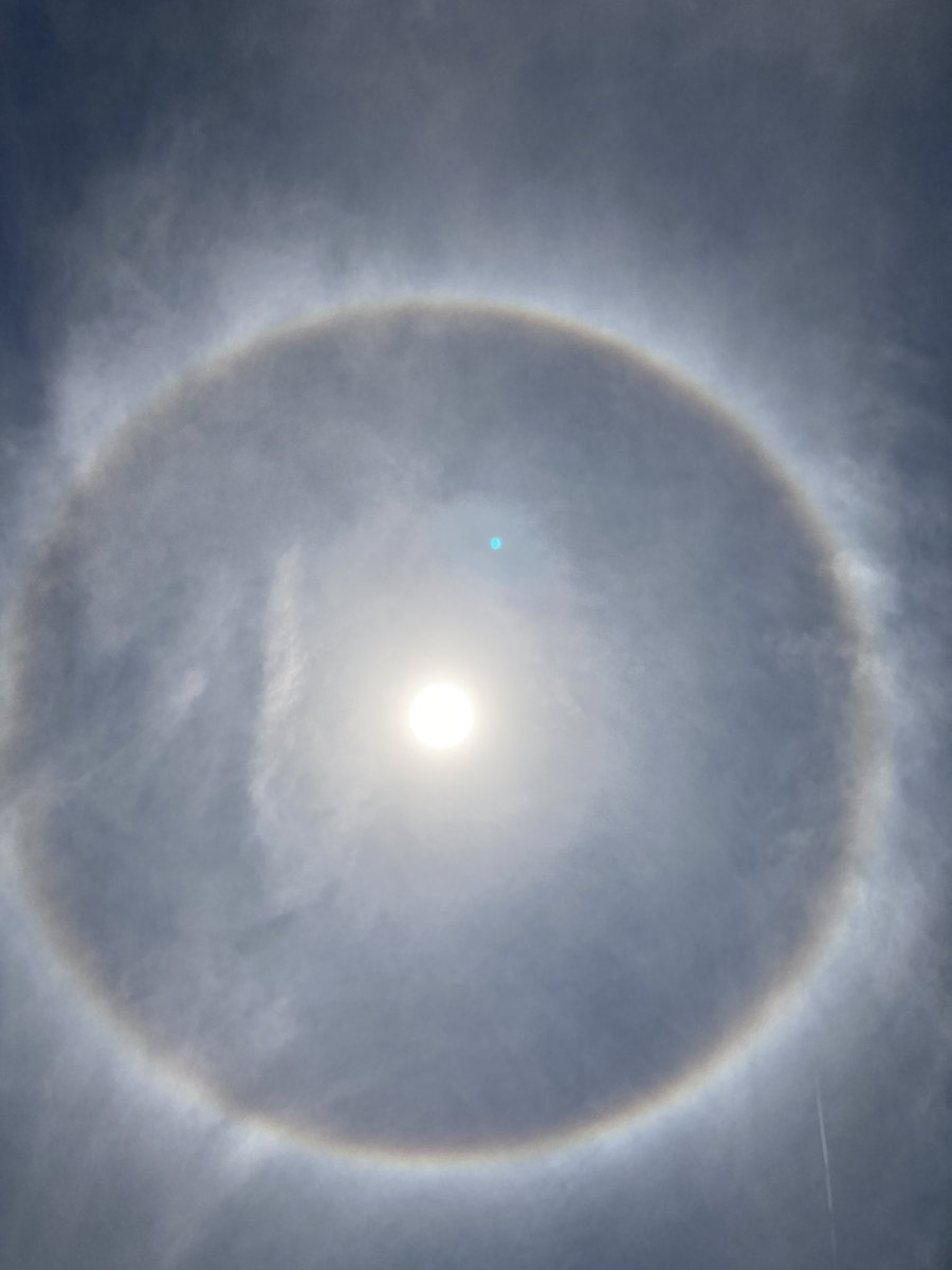 vedge7's tweet photo. @StephWVTM13 @spann Look what we found in Hokes Bluff today. https://t.co/4CsPkX0kPK
