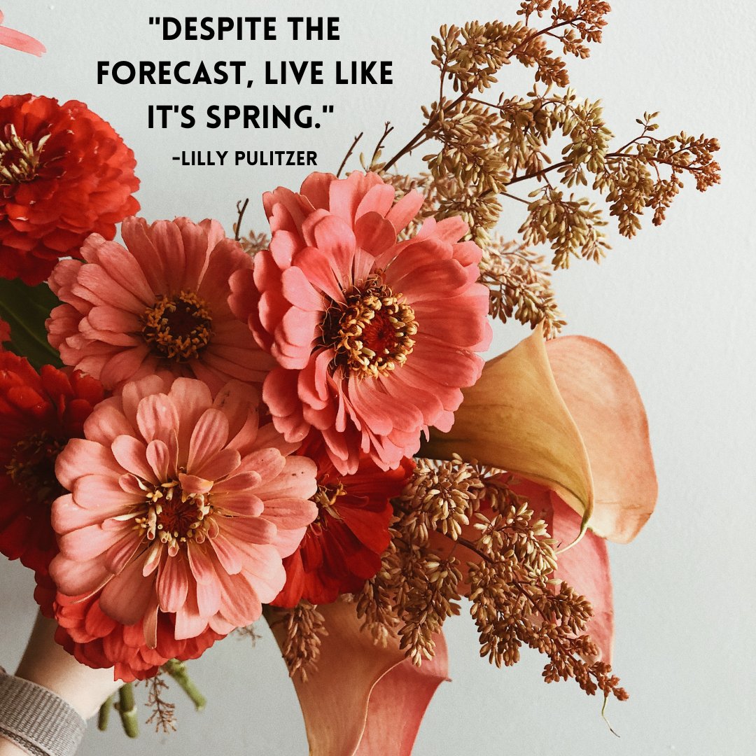 SnortOutLoud's tweet image. "Despite the forecast, live like it's spring." - Lilly Pulitzer
How do you enjoy the sunshine? So glad we get to spend time outside again. 🌷🌞

#spring #flowers #springquotes #sunnylife  #shineyourlight