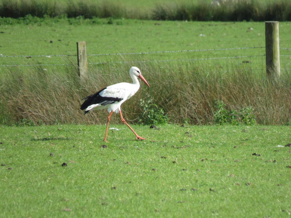 Jeff Hulbert tweet media