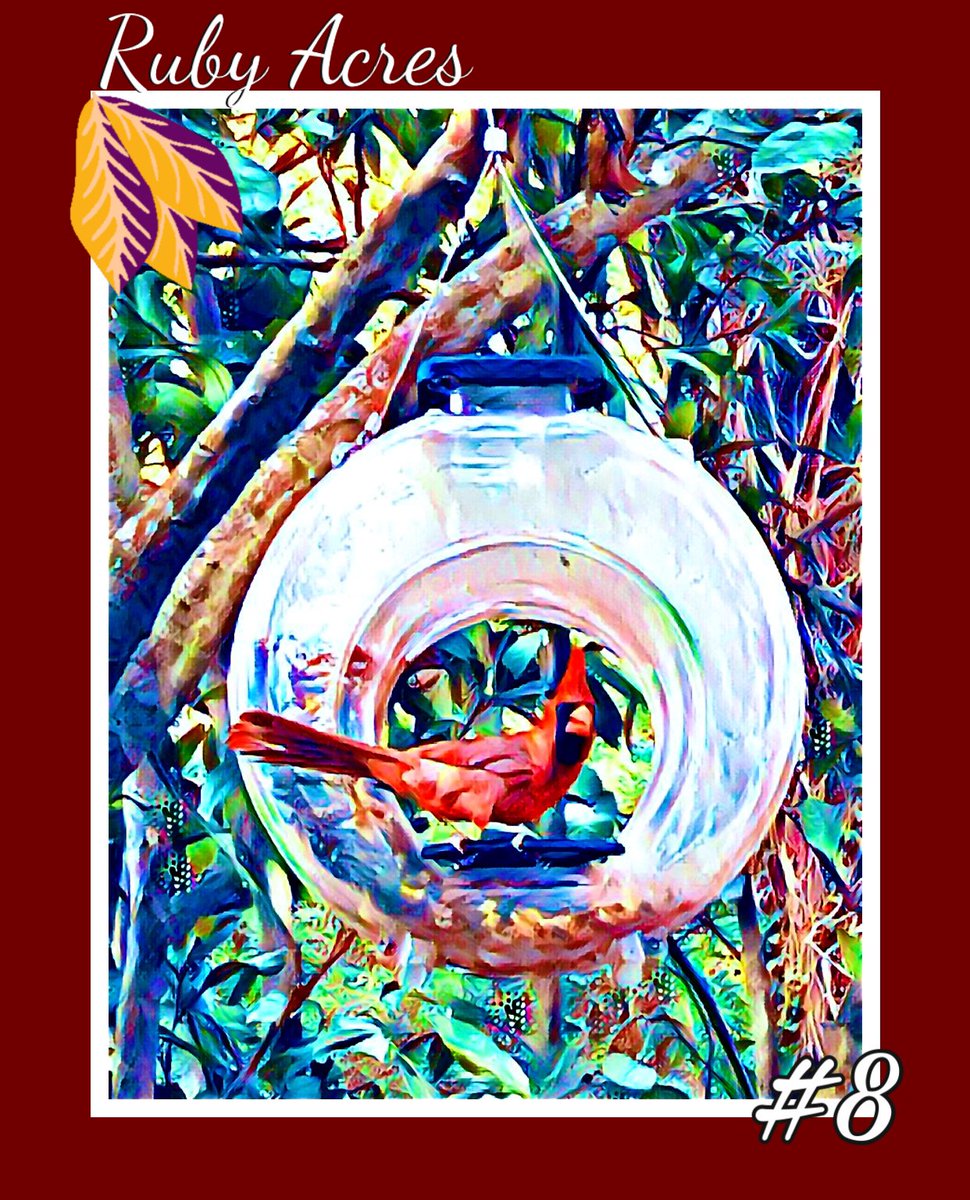 Ruby_Acres's tweet photo. #NFTdrop  Tomorrow 6PMEST: 1st limited edition post card series drop.  "Red" will land on Neftyblocks for 1 week. Only 98 available. Own Red, Follow @Ruby_Acres Retweet/tag 3 friends, include your .wam for the next mint 1 postcard #NFTGiveaway https://t.co/hMEssOhg72