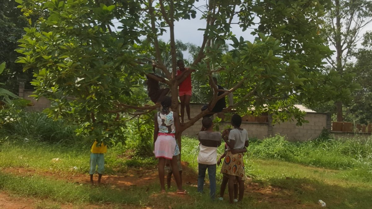 "Qui plante un arbre sauve plusieurs vies". 
Grande fierté d'oeuvrer sans cesse dans ce sens. Merci à tous ceux qui se prêtent à cet exercice pour la planète et les générations futures ! #WorldEnvironmentDay  #GenerationRestoration