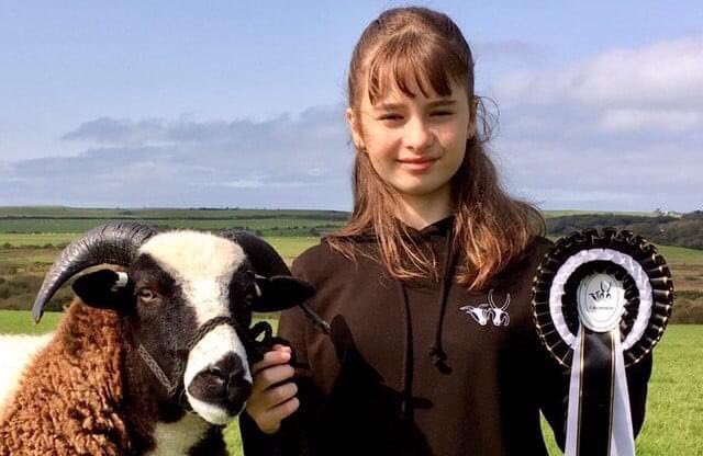 🌟🐑Virtual Young Handler Competition 2021🐑🌟
Open to any 0 to 18 yr old using JSS Members’ Jacob sheep.
3 photos & 1 video will be required by 15 Aug 2021, results announce on 22 Aug 2021
Message here or email woodgreenfarm@btinternet.com for an entry form
#onlinecompetition