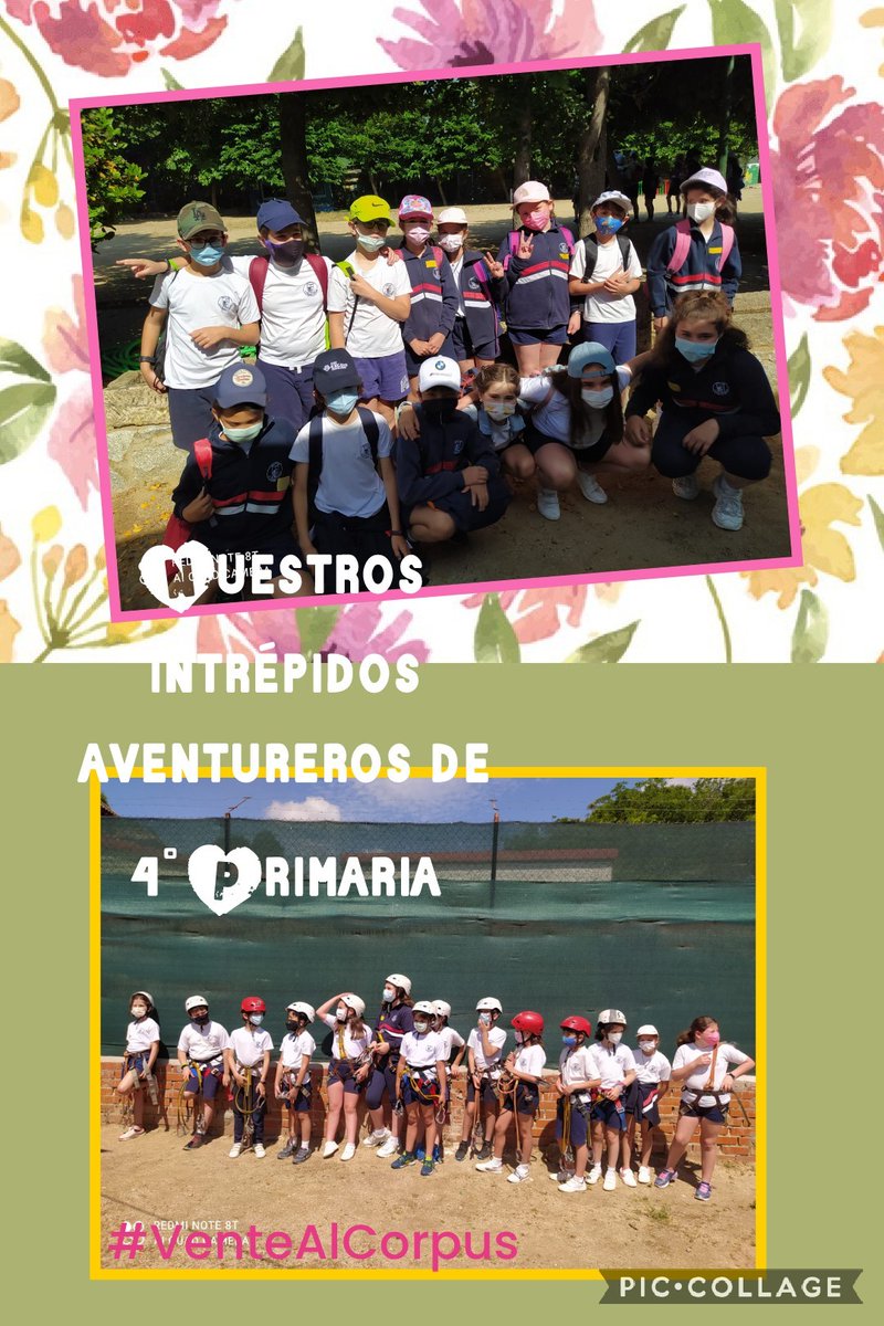 ColegioCorpusChristi tweet media
