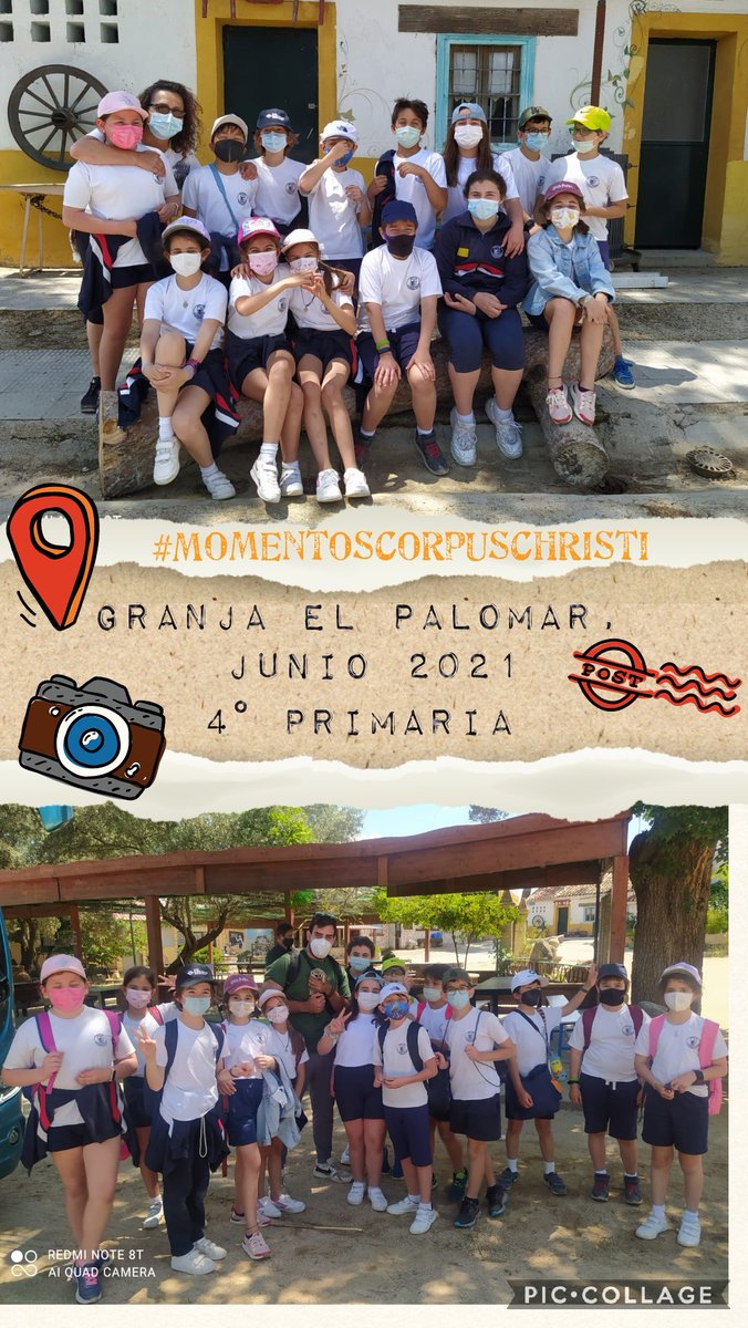 ColegioCorpusChristi tweet media