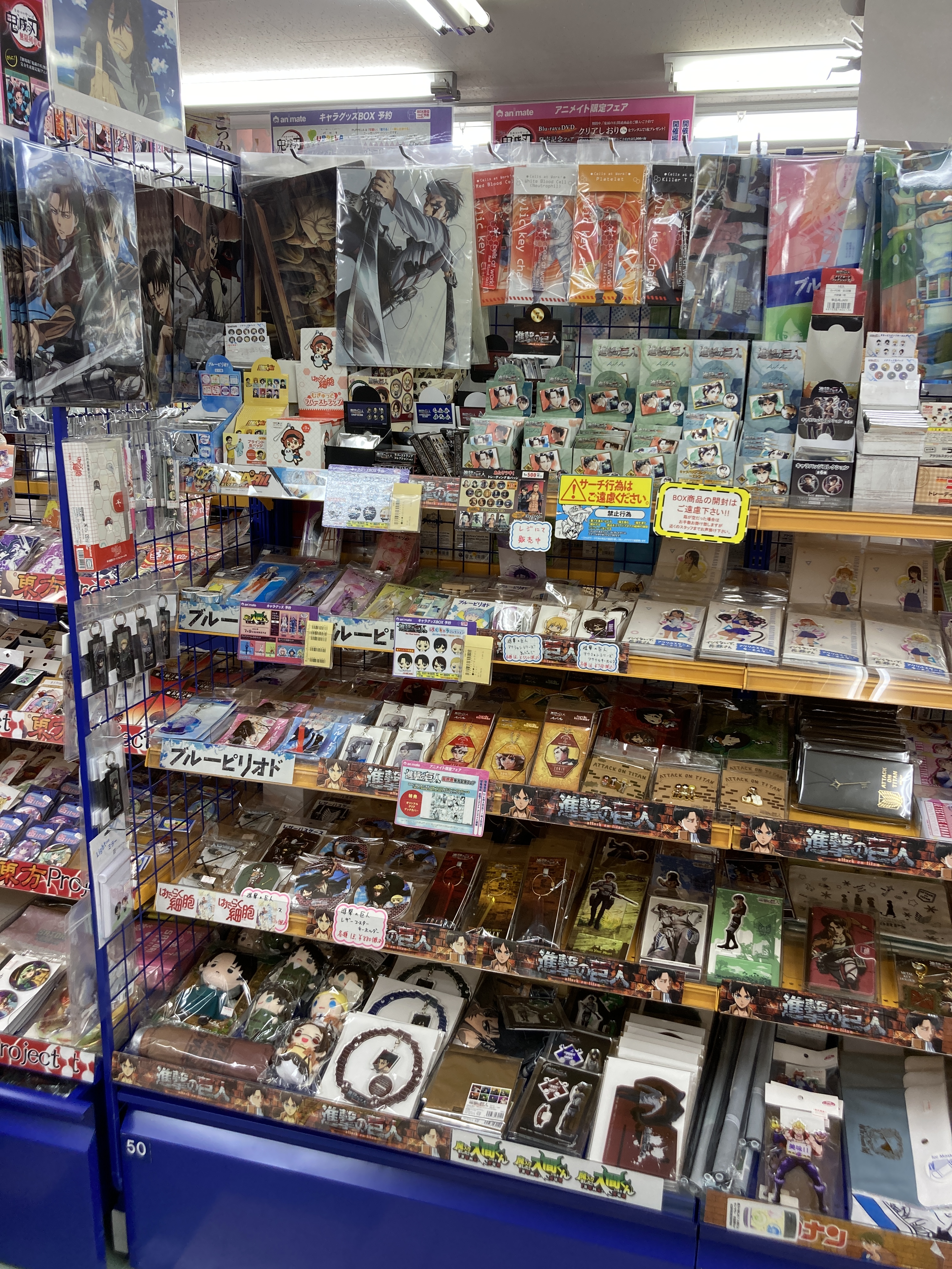 アニメイト札幌 グッズ情報 進撃の巨人 関連グッズが多数コーナーに展開中ポロ Shingeki T Co I3j6m66yeo Twitter