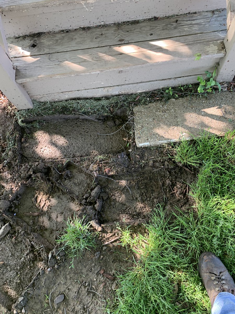 King of Spades Landscaping (KingofSpadesLa1) Twitter