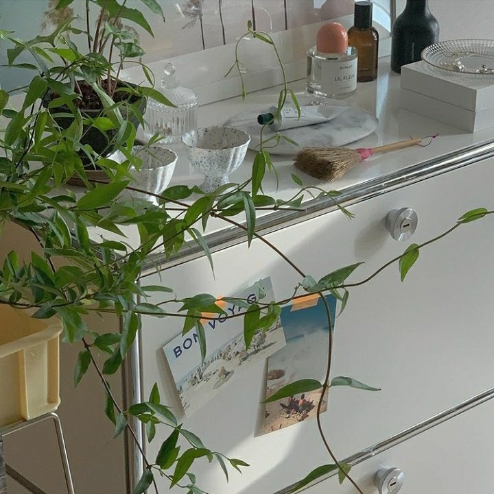 · (@softysugars) on Twitter photo 