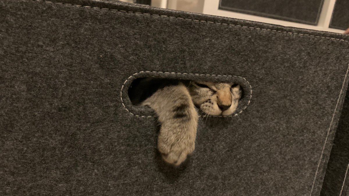 これを　
こうして
こうじゃ(ΦωΦ)