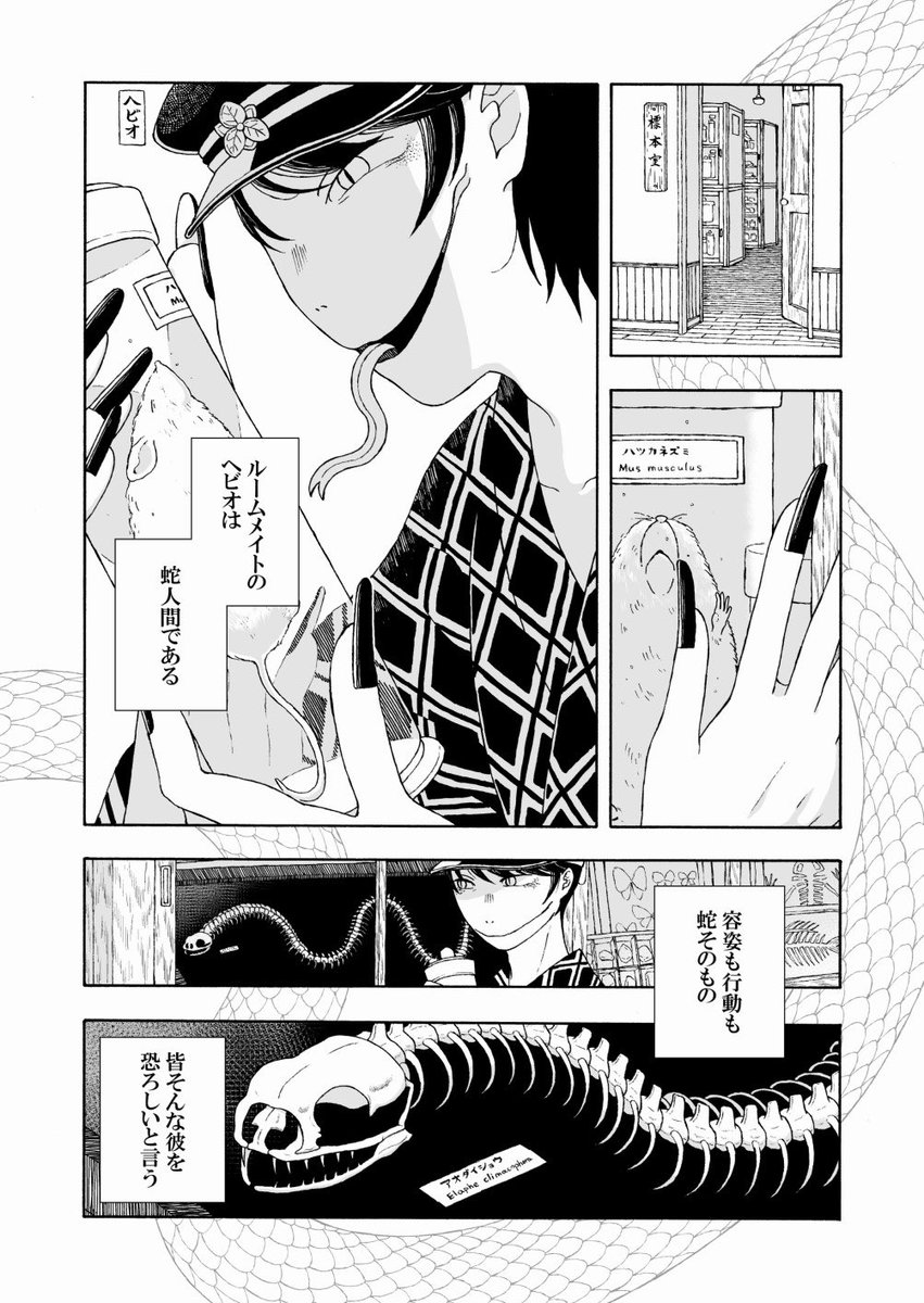 【創作漫画】蛇人間のヘビオと一緒に暮らしてみた8/12話『骨』 #ヘビオ 

#マンガが読めるハッシュタグ
#エアコミティア136
#エアコミティア 