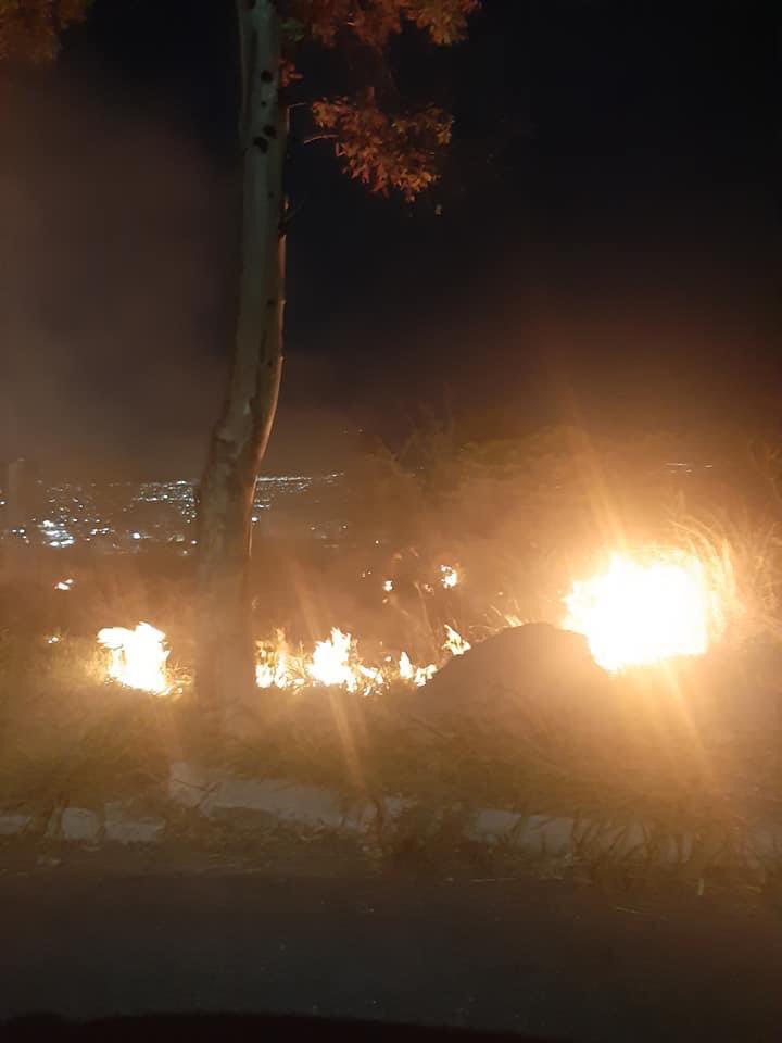 troldans's tweet photo. Otro más que devasta zonas con posible desarrollo 🆘 este frente a Centro Cívico, a un costado del estacionamiento ¡ conste que la vegetación está semi  húmeda! No se podrá construir en 20 años @qromunicipio @PROFEPA_Mx @CONAFOR @pcmqro @pamelasiurob @Viraviendo https://t.co/ctjdjdWKlS