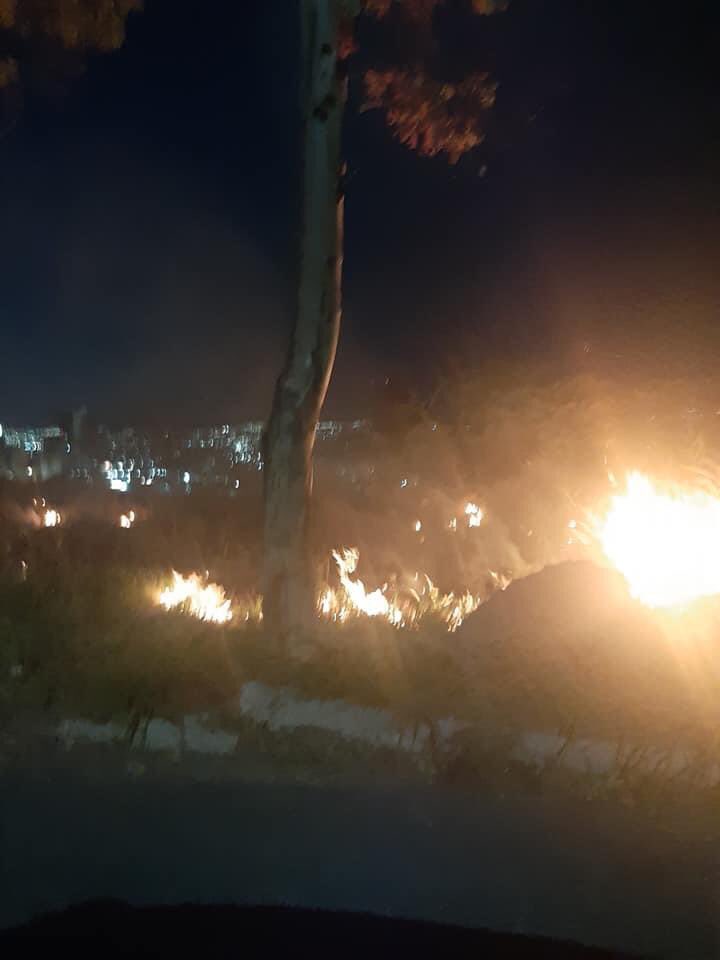 troldans's tweet photo. Otro más que devasta zonas con posible desarrollo 🆘 este frente a Centro Cívico, a un costado del estacionamiento ¡ conste que la vegetación está semi  húmeda! No se podrá construir en 20 años @qromunicipio @PROFEPA_Mx @CONAFOR @pcmqro @pamelasiurob @Viraviendo https://t.co/ctjdjdWKlS