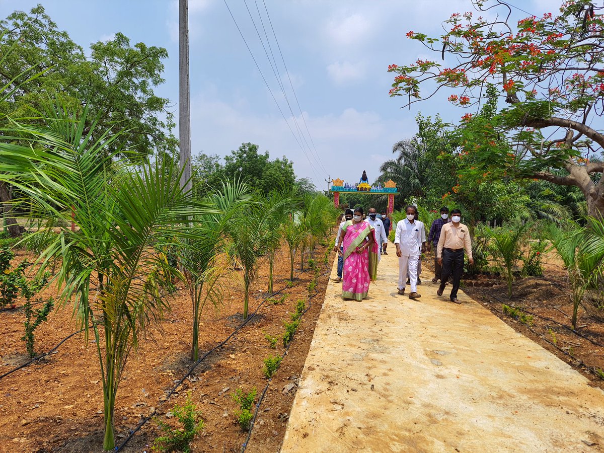 DrdoDrda's tweet photo. Visited palle prakruthi vanam at medepally gp mudigonda mandal https://t.co/m21RZIk7MN