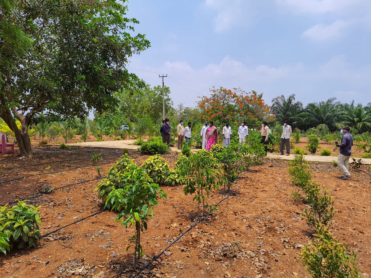 DrdoDrda's tweet photo. Visited palle prakruthi vanam at medepally gp mudigonda mandal https://t.co/m21RZIk7MN