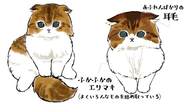 تويتر ぢゅの على تويتر Krauser Mkm1000 わーー なんと気品のあるにゃんこですね