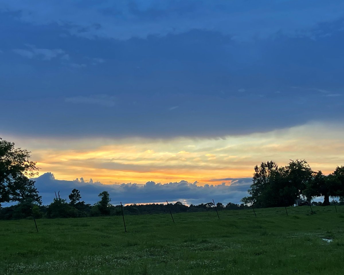 Cool sunset tonight in my backyard!