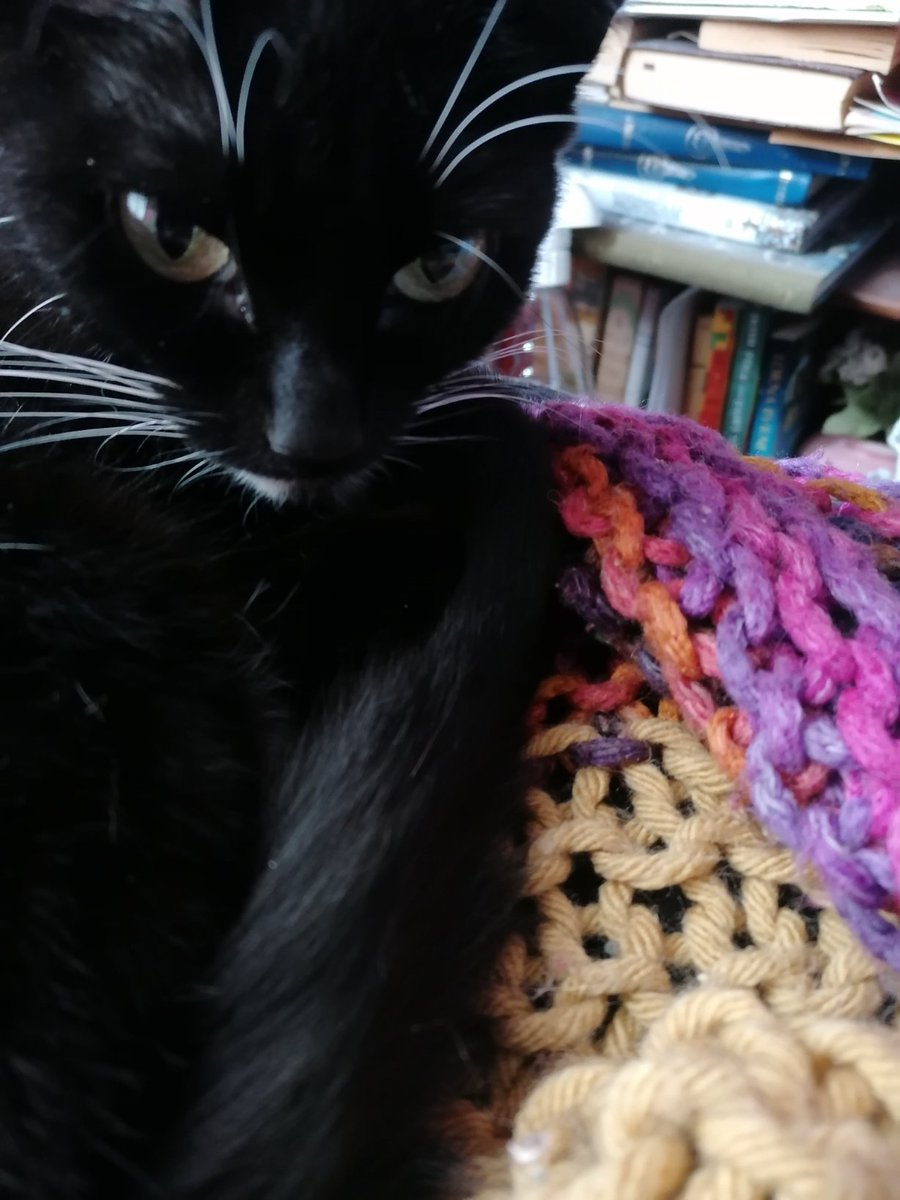 McfJackie's tweet photo. The babe loves her mama's hand-knitted blankets. Have a few on needles at the mo - 2 summer blankets and 1 autumn/winter blanket. https://t.co/fsXuBoTvw3